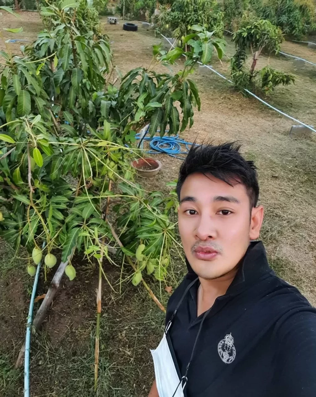 ต้นไม้สวนพอเพียงสำหรับมือใหม่