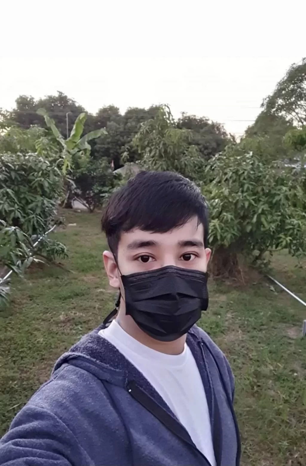 ต้นไม้สวนพอเพียงจัดสวน