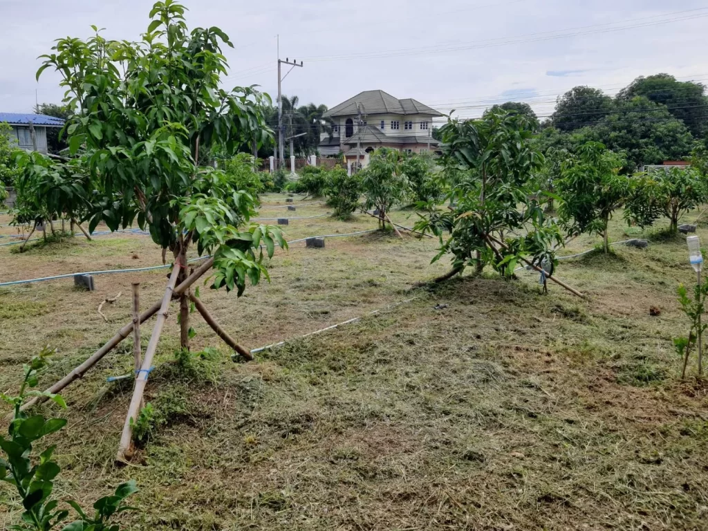 ต้นไม้สวนพอเพียงแรงบันดาลใจ