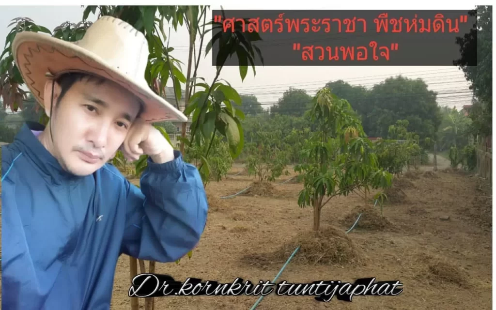 ต้นไม้สวนพอเพียงสบายใจ